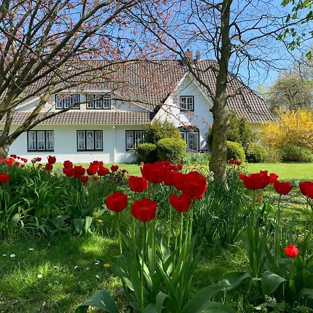 Landhaus Haack Tumlauer Koog Exteriér fotografie