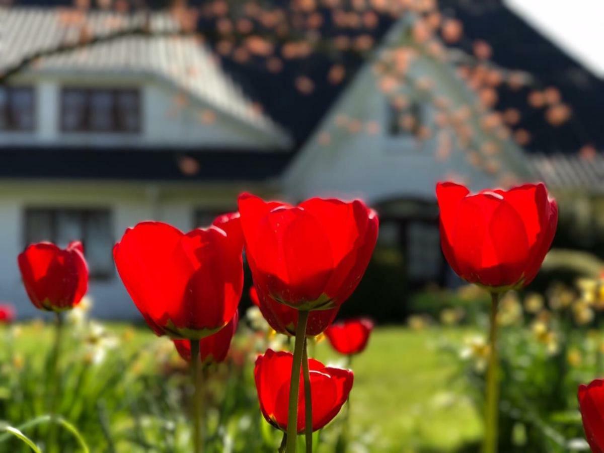 Landhaus Haack Tumlauer Koog Exteriér fotografie
