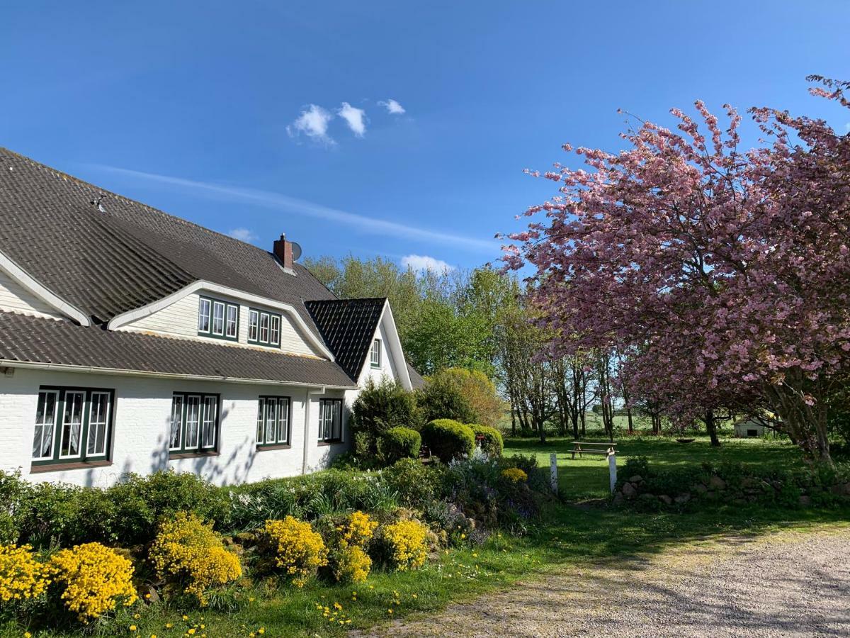 Landhaus Haack Tumlauer Koog Exteriér fotografie