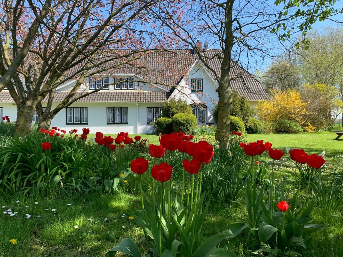 Landhaus Haack Tumlauer Koog Exteriér fotografie