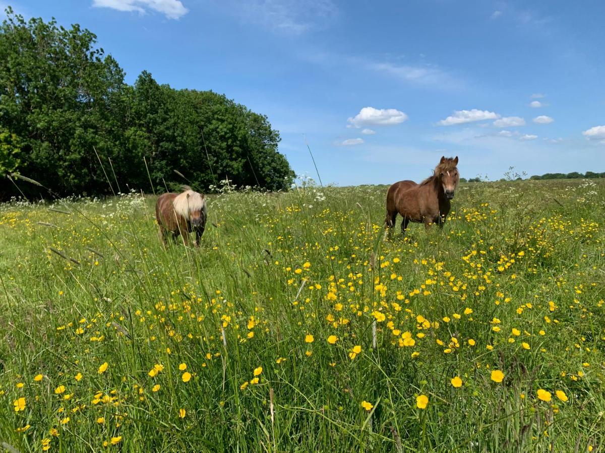 Landhaus Haack Tumlauer Koog Exteriér fotografie